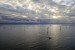 India: MNRE to Publish Offshore Wind Draft Guidelines Within Month